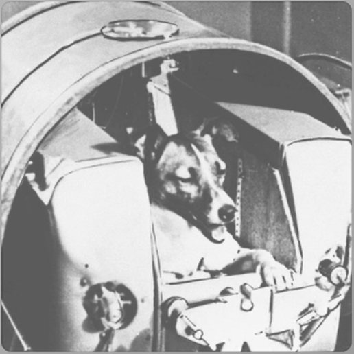 Laïka, la chienne cosmonaute, à bord de la capsule Spoutnik 2 en 1957